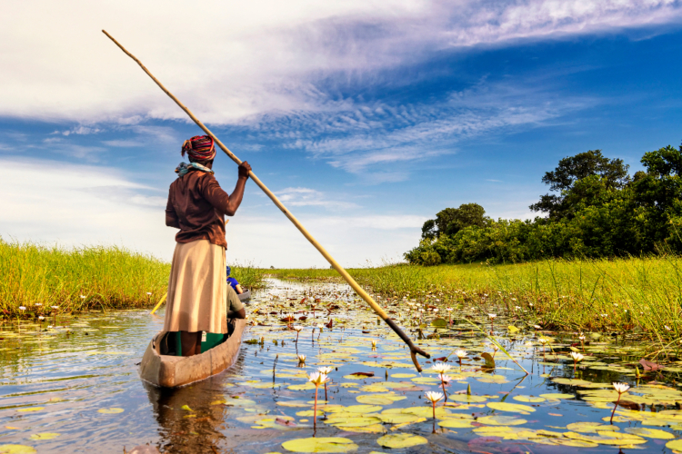 Einheimischer führt ein Kanu durch die Wasserwege des Okavango-Deltas mit Seerosen.