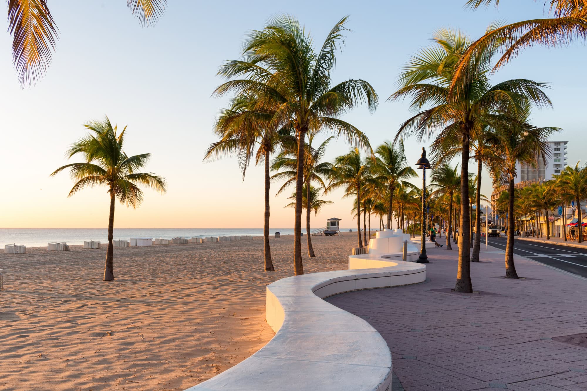 Der Strand mit Palmen in Dort Lauderdale
