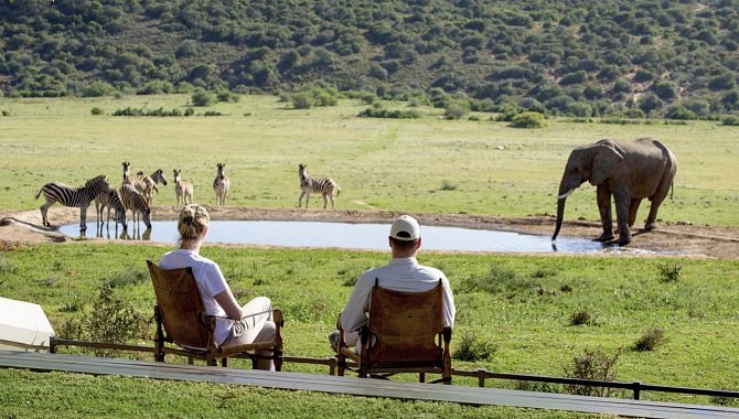 Zwei Reisende beobachten Tiere am Wasserloch