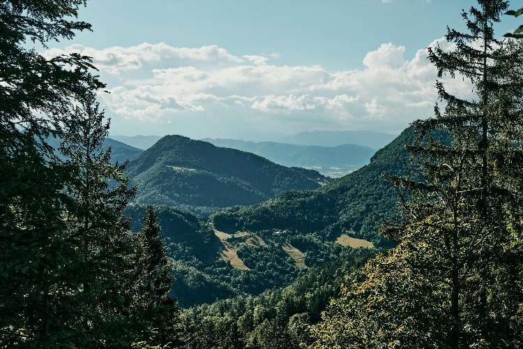 Gran Canaria Pilancones National Park