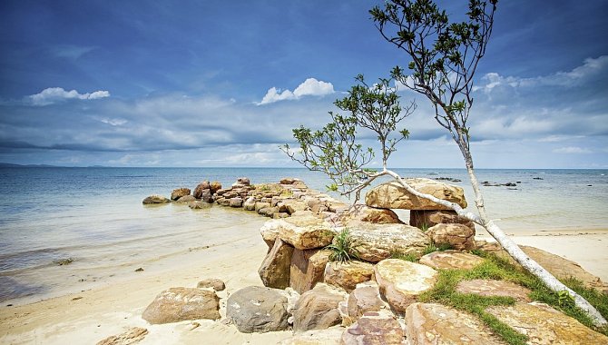 Steine und Bäume am Strand