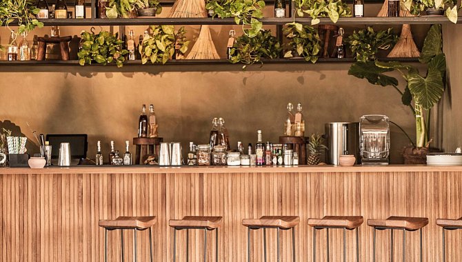 Die Bar ist aus hellen Holz gebaut, davor sind hölzerne Barhocker. DIe Bar ist voller Cocktailzutaten und das Regal darüber ist voller Pflanzen