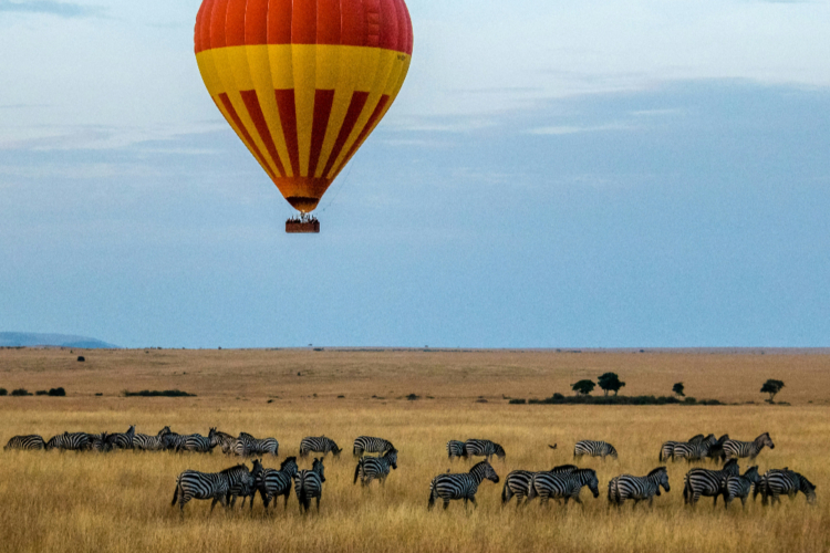 Heißluftballon über der Savanne mit Zebraherde im Vordergrund.