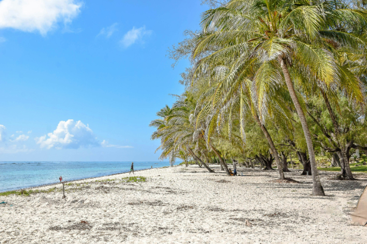 Palmenstrand bei Mombasa mit weißem Sand und türkisblauem Meer.