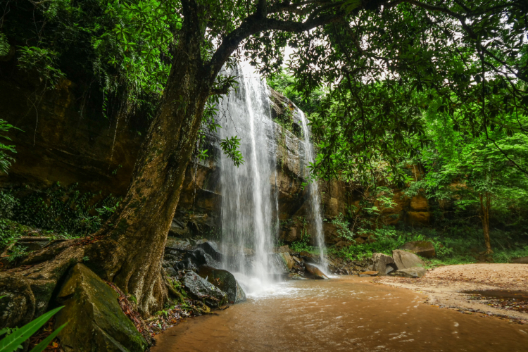 Wasserfall im Shimba Hills National Reserve, umgeben von dichtem grünen Regenwald.