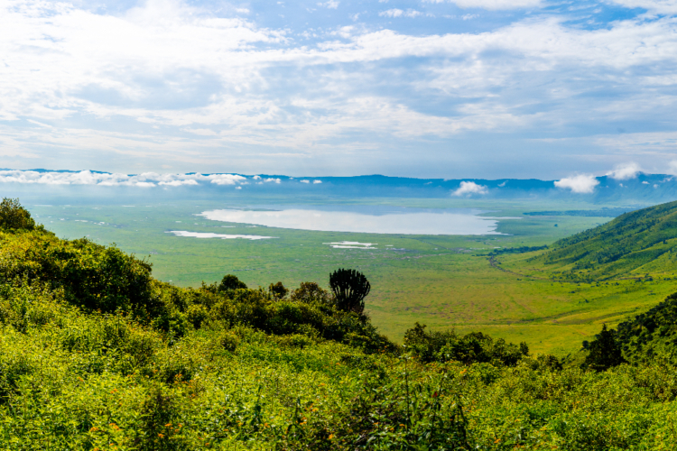 Panoramablick auf den Ngorongoro-Krater mit üppiger Vegetation und großem See im Inneren.
