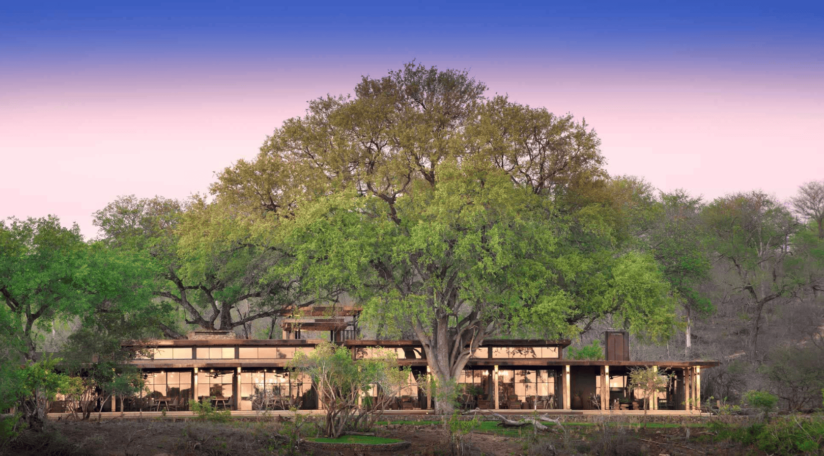 Lodgeanlage inmitten dichter Vegetation mit großen Bäumen und moderner Architektur